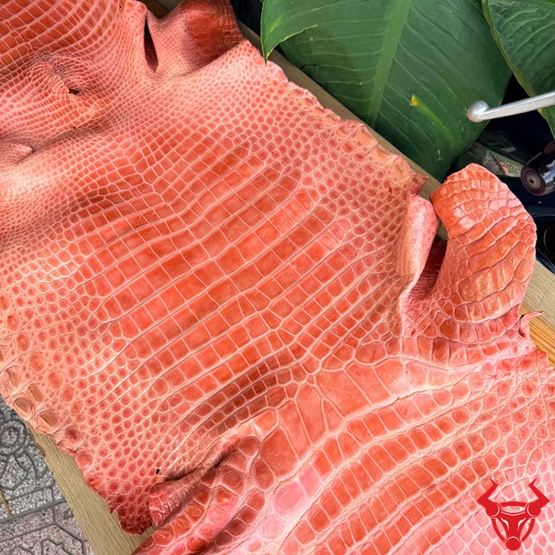 Da Cá Sấu Bóng Kính Size 5X Bỏ Gai Màu Xanh Dương Cao Cấp Da cá sấu bóng kính size 5X bỏ gai màu xanh dương với bề mặt bóng đẹp và vân tự nhiên.