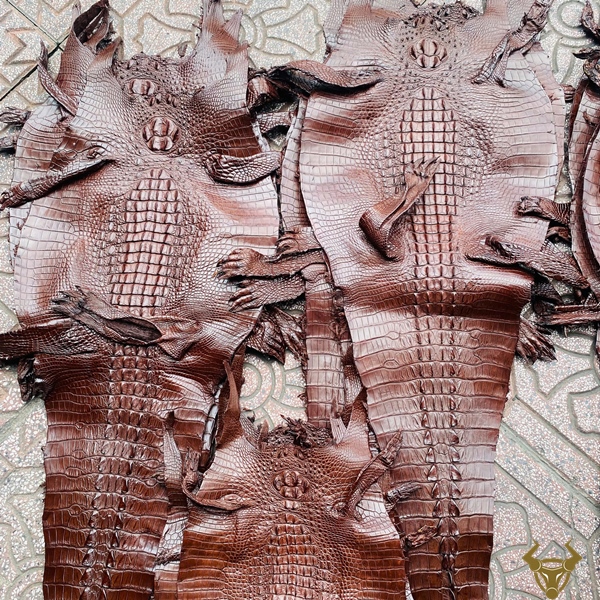 Da Cá Sấu Nguyên Tấm Gai Lưng Nâu Đất Bền Bỉ Da cá sấu nguyên tấm gai lưng nâu đất size 3 lớn bền bỉ