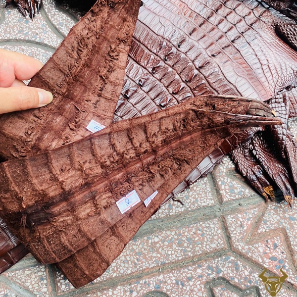 Da Cá Sấu Nguyên Tấm Gai Lưng Nâu Đất Độc Đáo Da cá sấu gai lưng nguyên tấm size 3 lớn màu nâu đất độc đáo