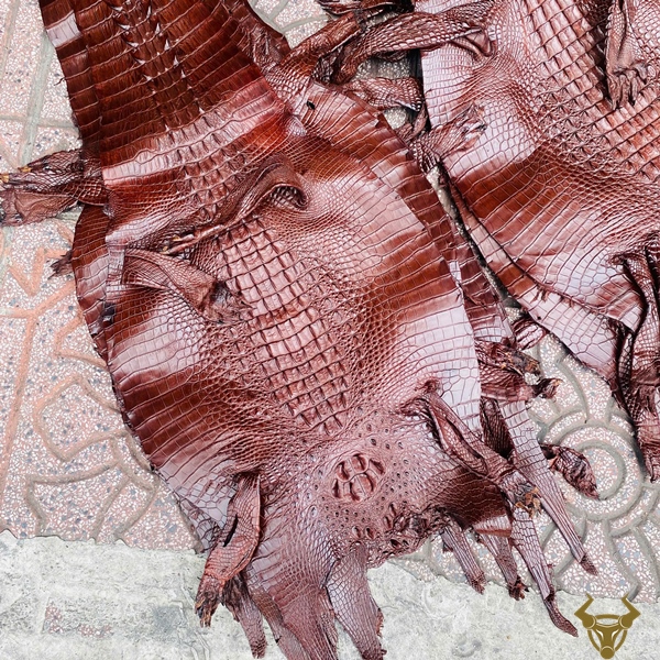 Da Cá Sấu Gai Lưng Size 3 Lớn Màu Nâu Đất Vân Đẹp Da cá sấu gai lưng size 3 lớn màu nâu đất vân đẹp